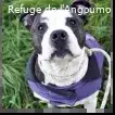 Bibou