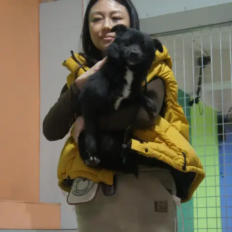 Siyue Sunny photo 3