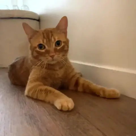 Buster
