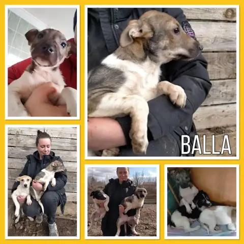 Balla