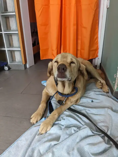 Milka