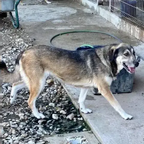 Layla photo 3