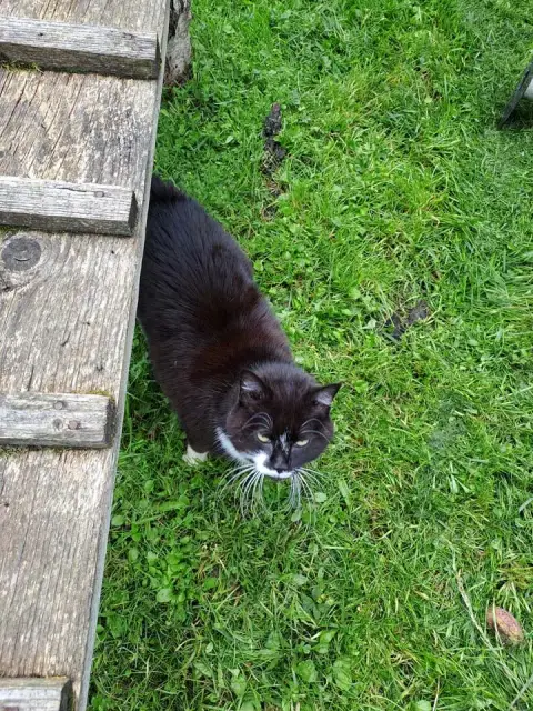 Maya photo 2