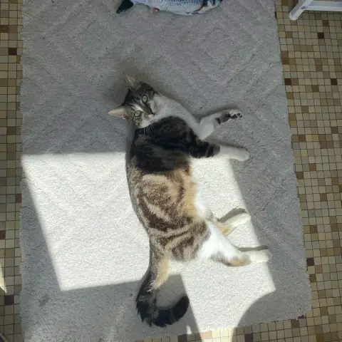 Bernard photo 3