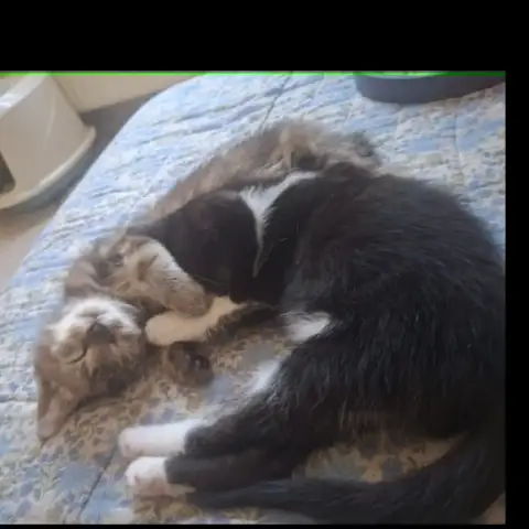 Griselda & Eliot