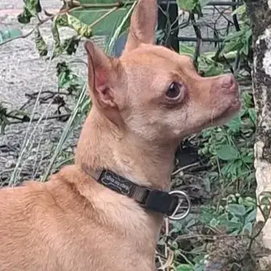 Coco photo 2