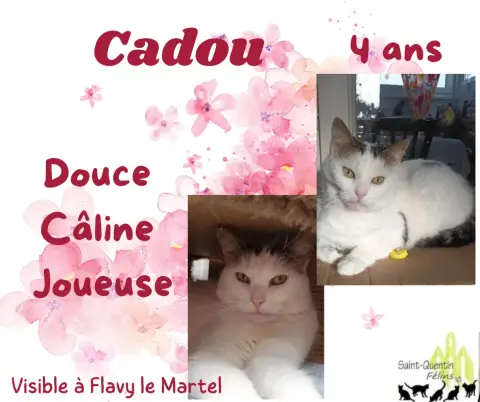 Cadou