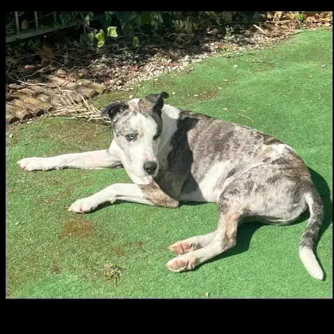 Sooky photo 2