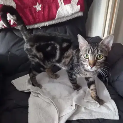 Mia