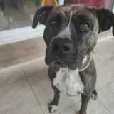 Leika photo 2