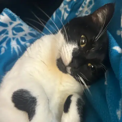 Fiona