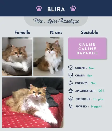 Blira