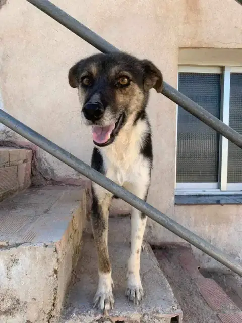 Maya photo 3