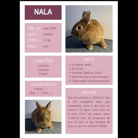 Nala