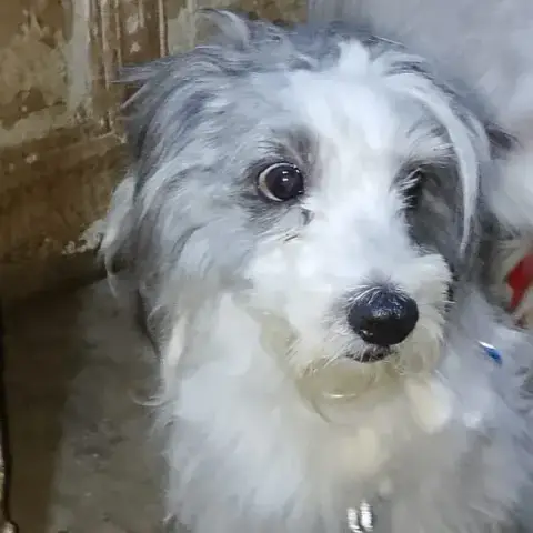 Nick