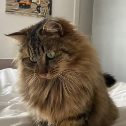 Roger