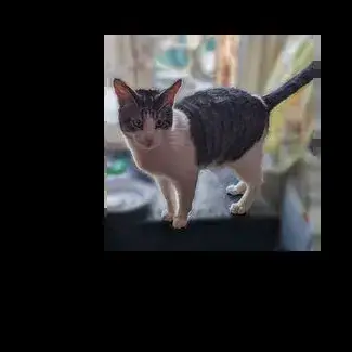 Bernard