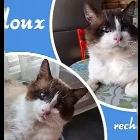 Fidoux