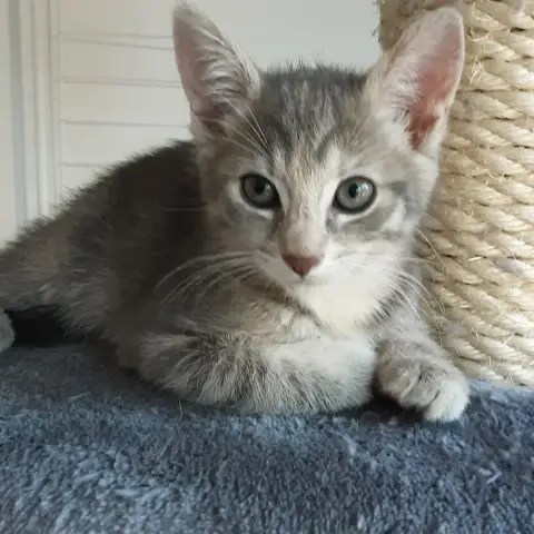 Luna photo 2