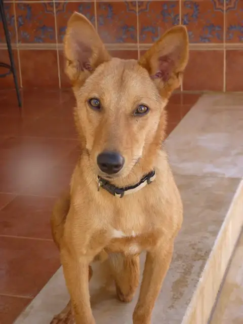 Nidhal photo 2