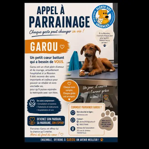 Garou
