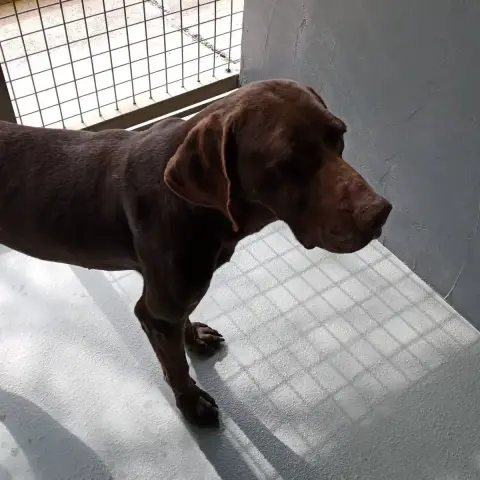 Sam