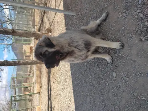 Sam photo 3