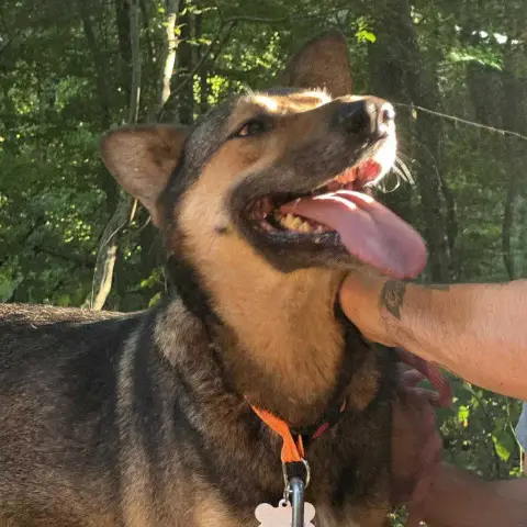 Tucker photo 3
