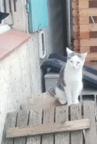 Titus