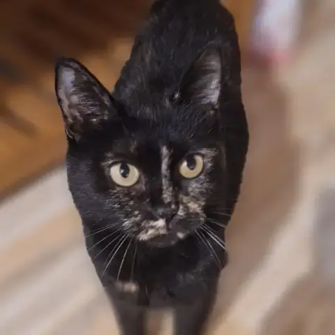 Molly