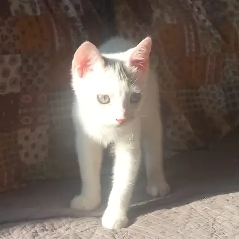 Butters photo 3