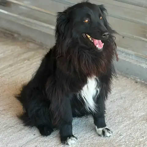 Lunna photo 3