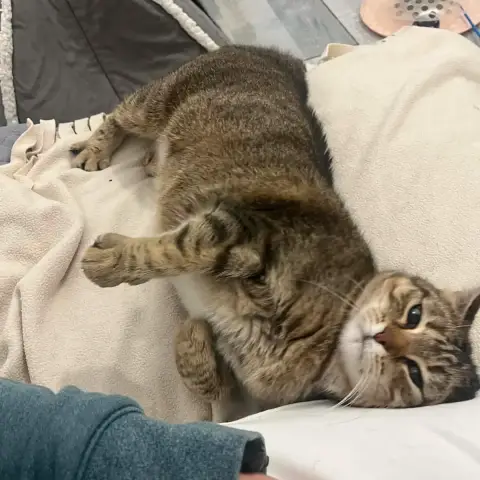 Aby
