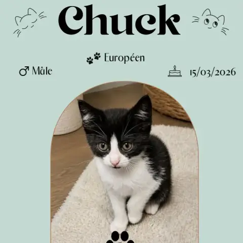 Chuck