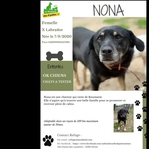Nona