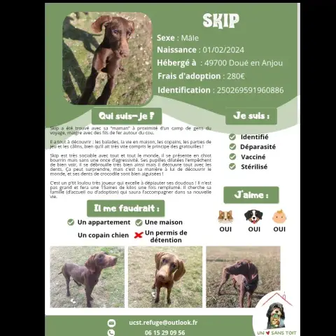 Skip