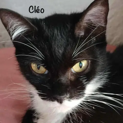 Cléo photo 3