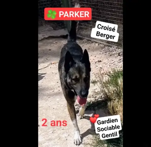 Parker