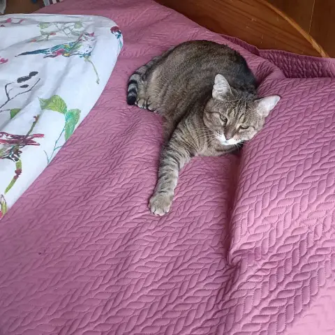 Romeo