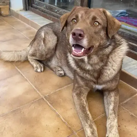 Pablo