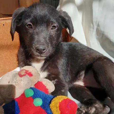 Luna