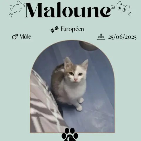 Maloune