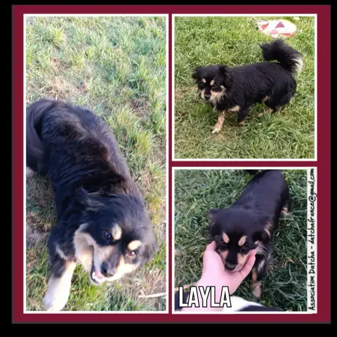 Layla