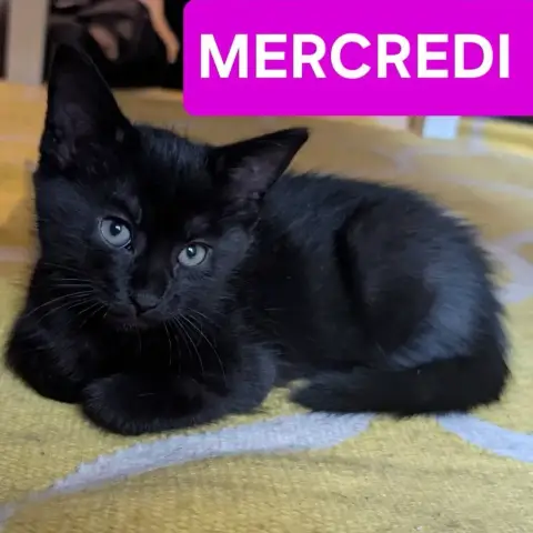 Mercredi Et Vendredi