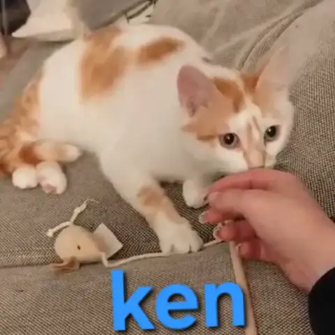 Ken