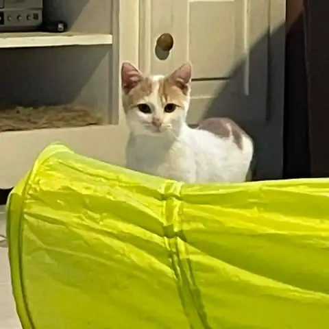 Caramel