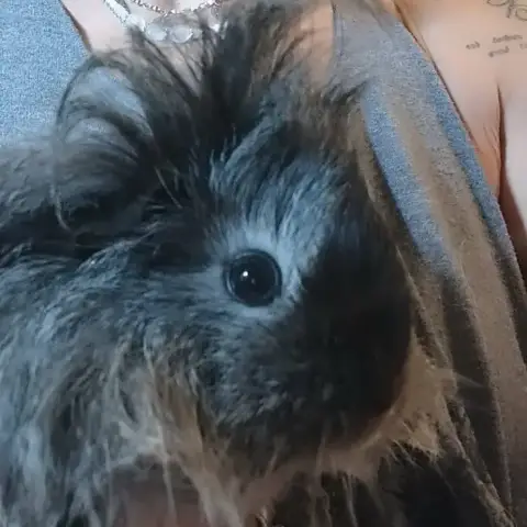 Thelma
