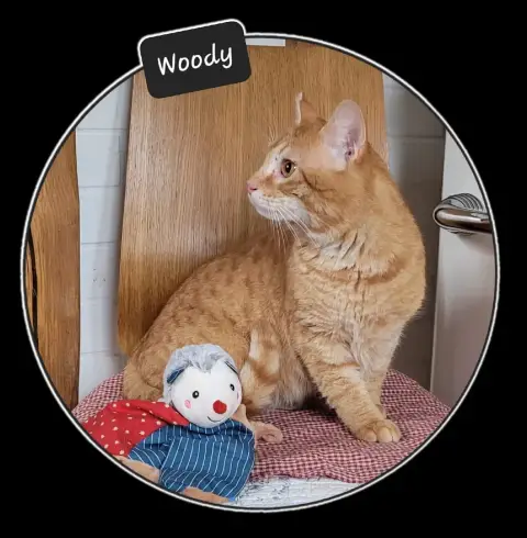 Woody photo 3