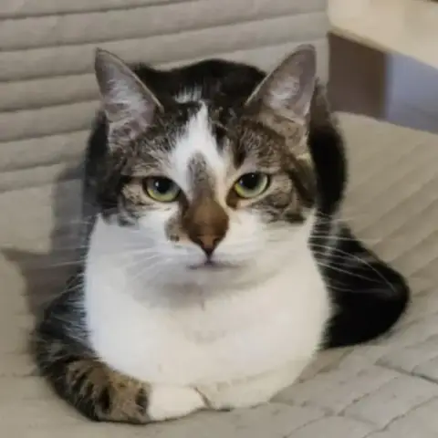 Bianca