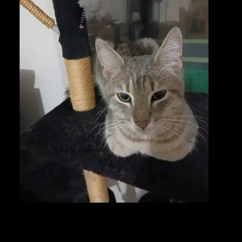 Marley